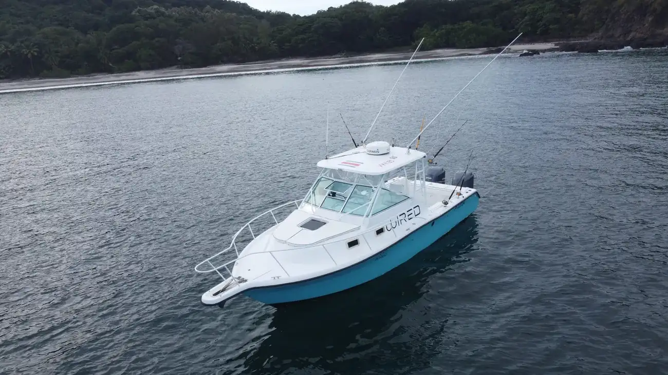 WIRED sportfishing boat