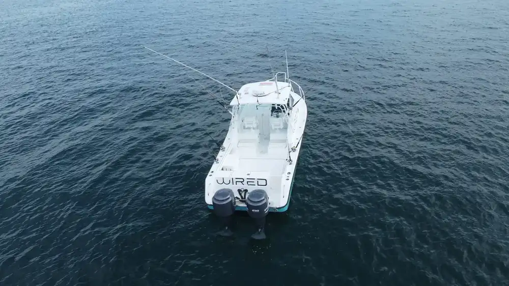 Full day offshore fishing charter