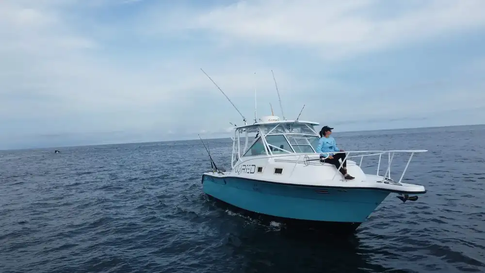 Wired sportfisher out on the open Pacific