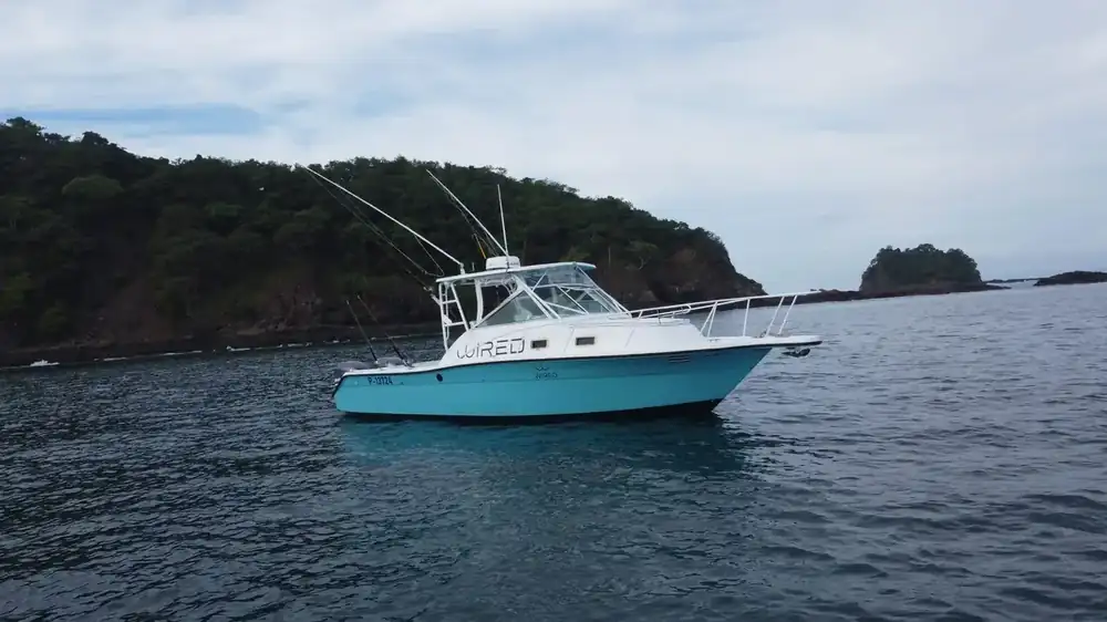 Half day fishing charter