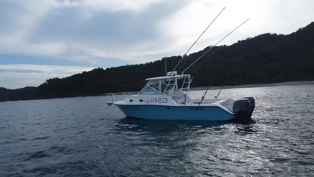 Three quarter day fishing charter
